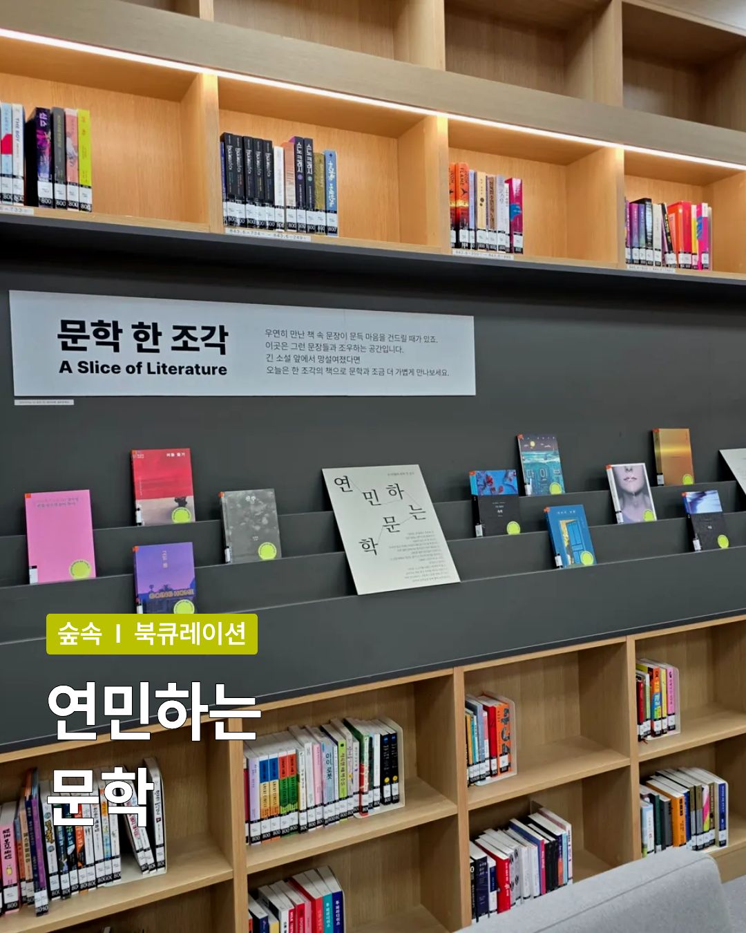 [문학한조각] 연민하는 문학