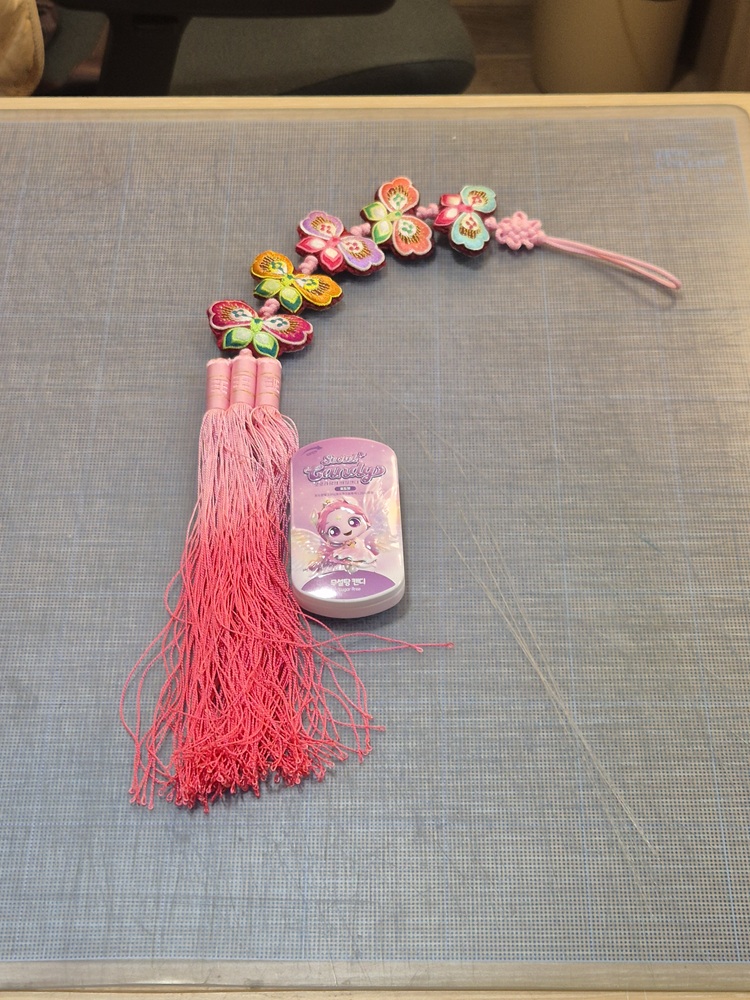 10월 분실물 노리개, 티니핑 케이스