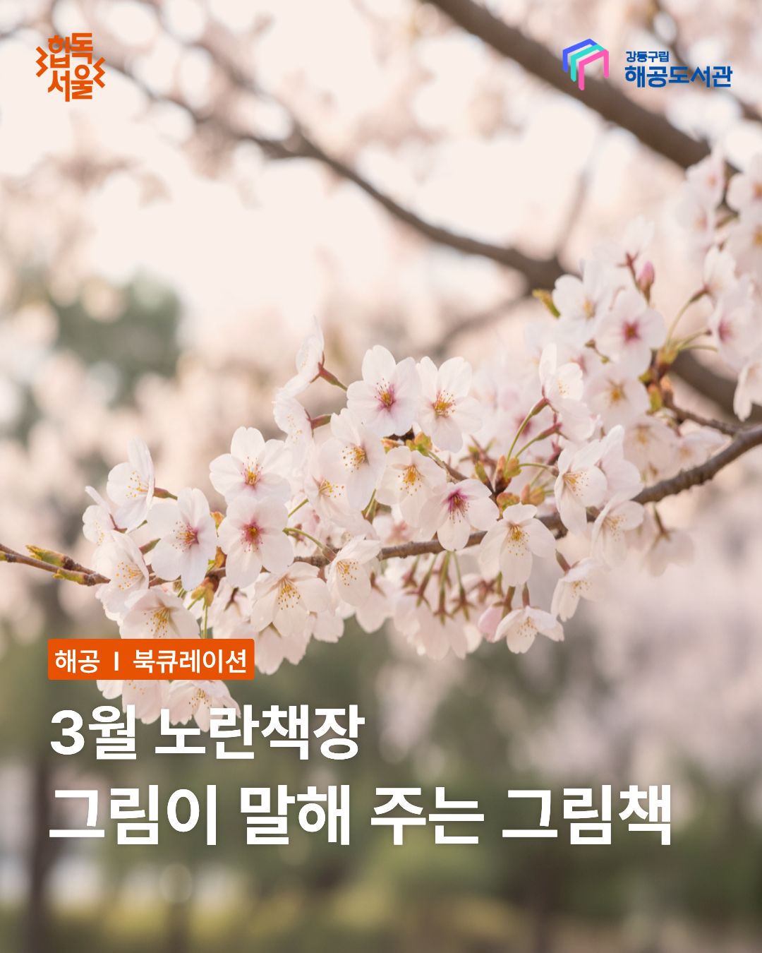 노란책장-그림이 말해 주는 그림책