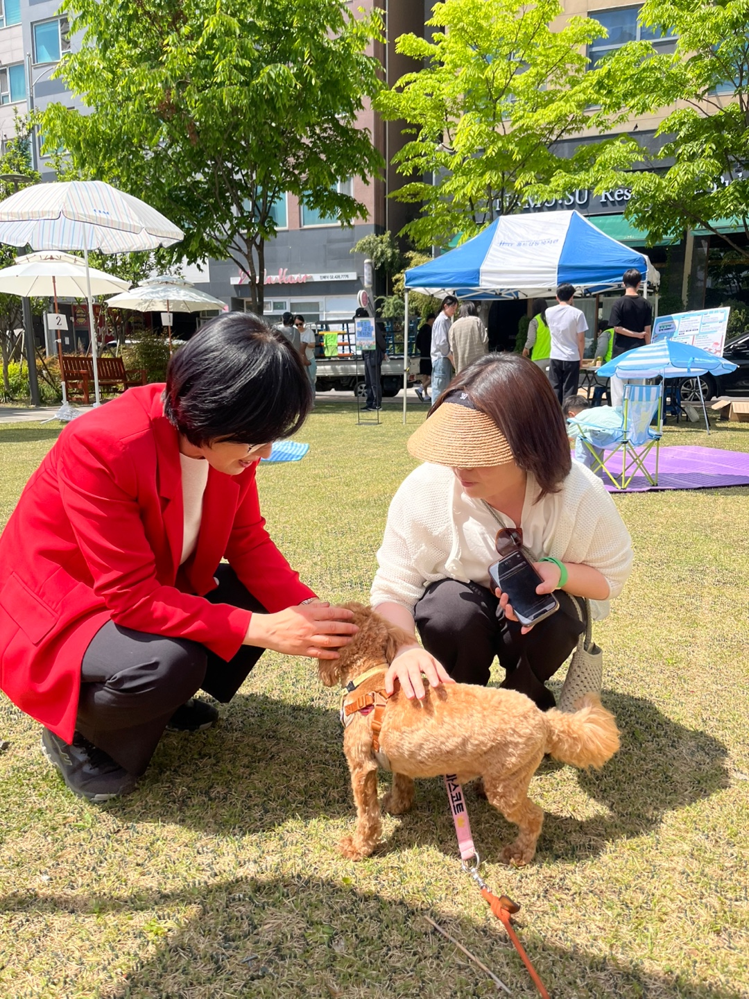 [강일] 반려견과 함께하는 강일야외도서관x가지마켓 4월 2번째 이미지