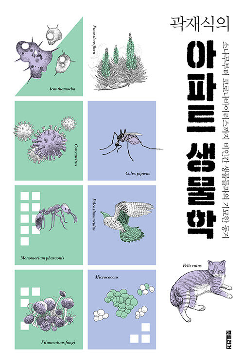 [과학자] 곽재식의 서재