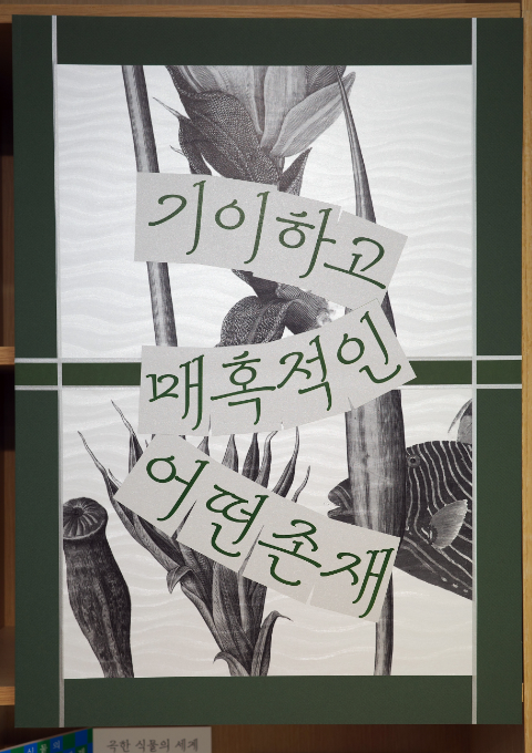 [청소년] 기이하고 매혹적인 어떤존재